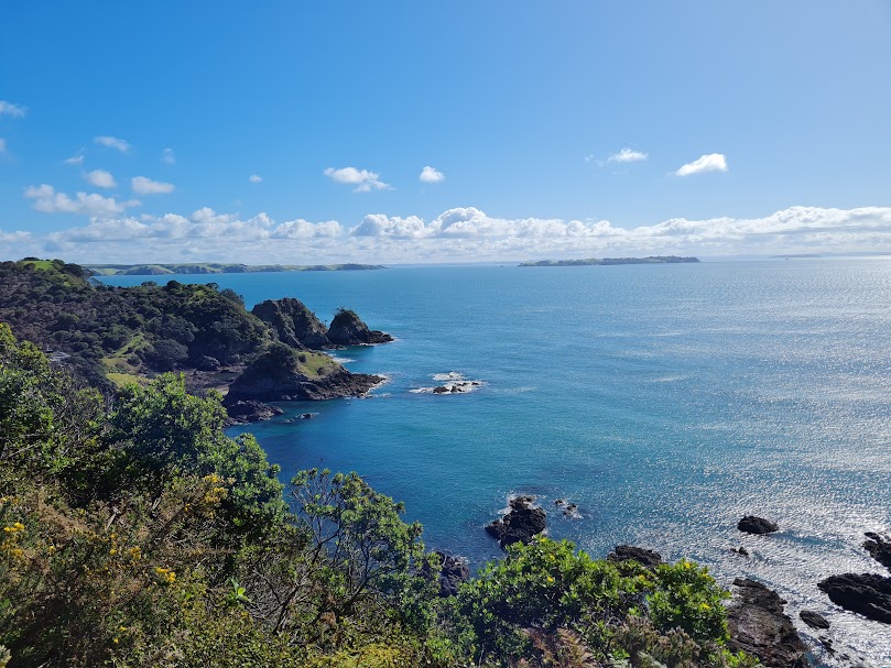 Waiheke Island scene